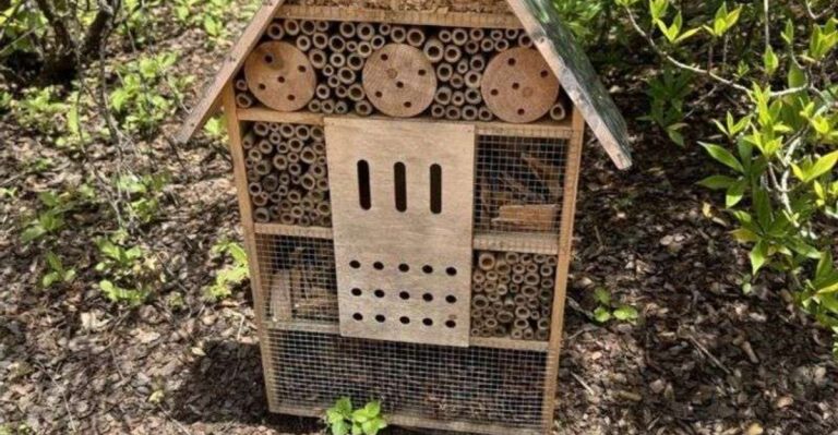 10 Ways to Attract Pollinators to Your Garden Without Pesticides