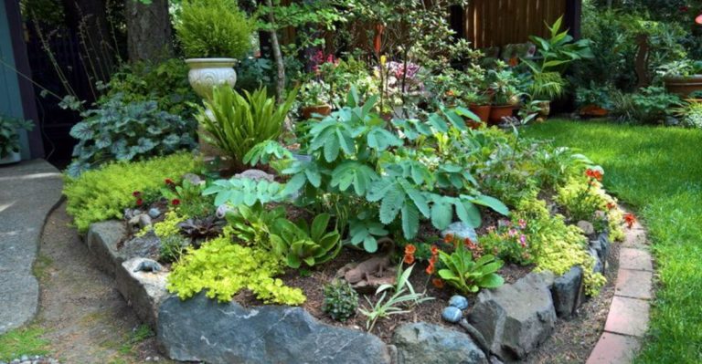11 Garden Mistakes to Avoid in the Pacific Northwest’s Rainy Climate