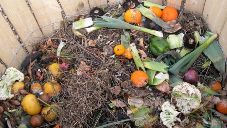 11 Composting Mistakes That Kill Your Garden (And How to Avoid Them)