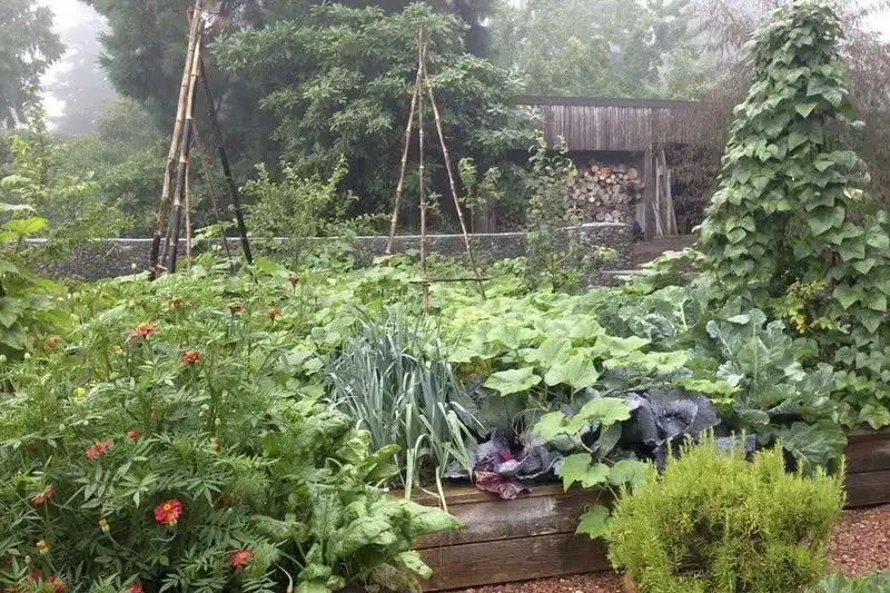 Plant Cool-Season Vegetables
