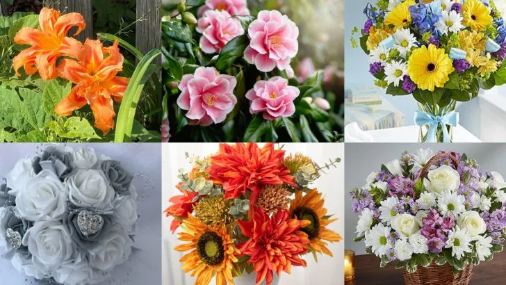 12 Hanging Basket Designs Based on Astrological Signs