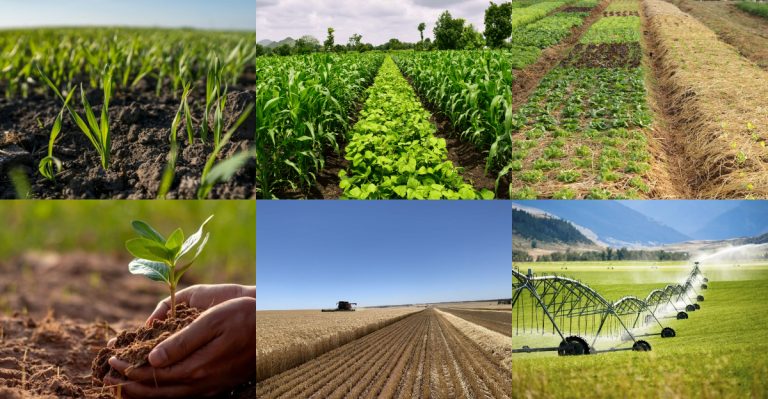 12 Reasons to Never Skip Crop Rotation Before Planting Again