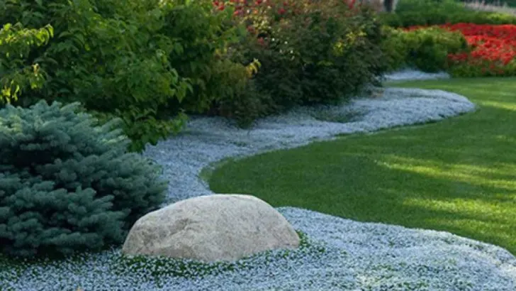 13 Lawn Alternatives That Actually Handle Foot Traffic