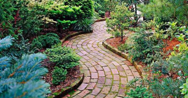 13 Easy Ways to Bring English Garden Charm to Your Backyard