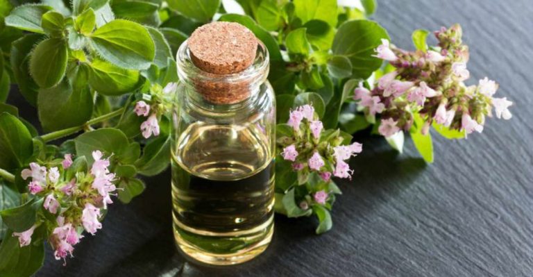 13 Flavorful Herbs to Grow for Homemade Herb-Infused Oils