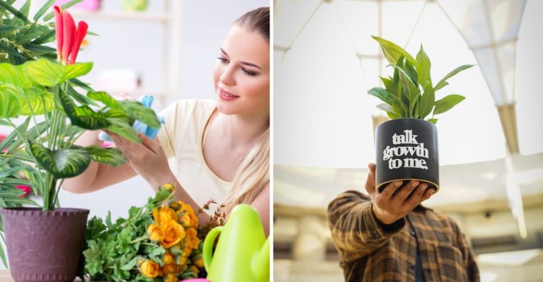 13 Gardening Tips That Sound Smart but Don’t Work—Ask Any Pro