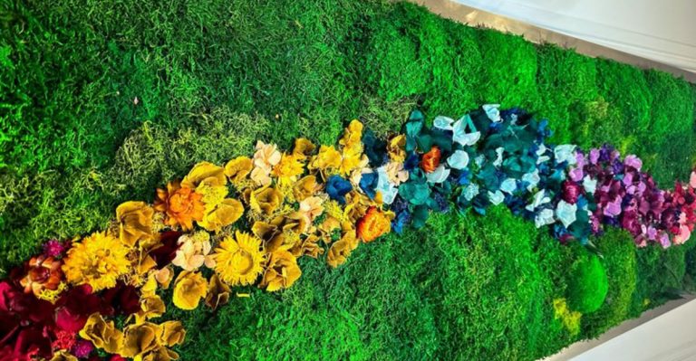 13 Inspiring Ideas to Start Your Own Moss Garden