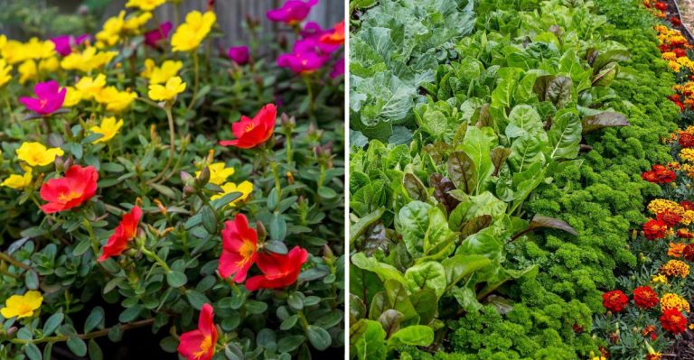 13 Lifesaving Garden Tips for Surviving Extreme Summer Heat