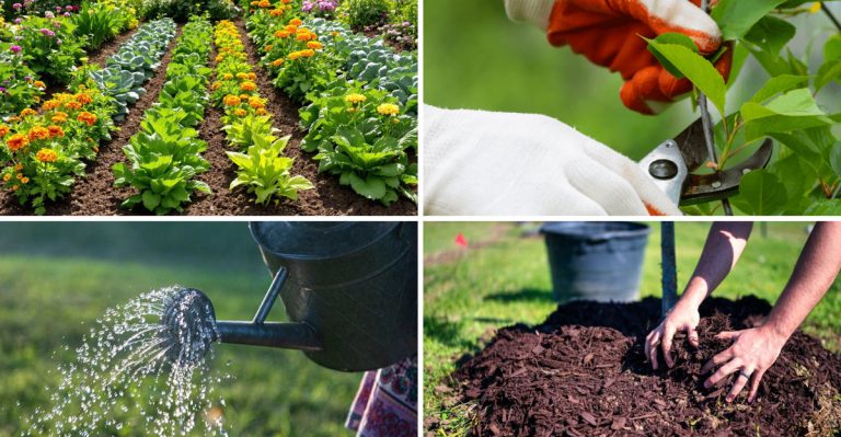 13 Overlooked Tips That Help Fruit Trees Grow Faster and Healthier