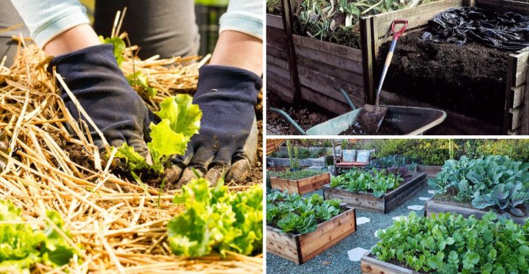 13 Things to Try If Your Garden Soil Dries Out Too Quickly