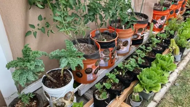 13 Things You Should Never Do in a Small Garden