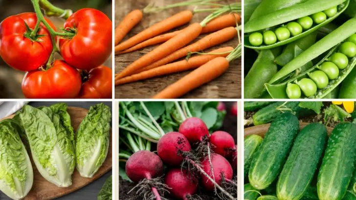 13 Vegetables That Only Taste Good When Grown at Home