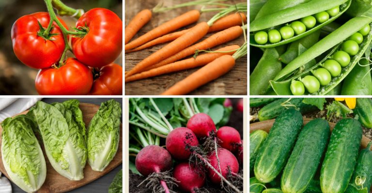 13 Vegetables That Only Taste Good When Grown at Home