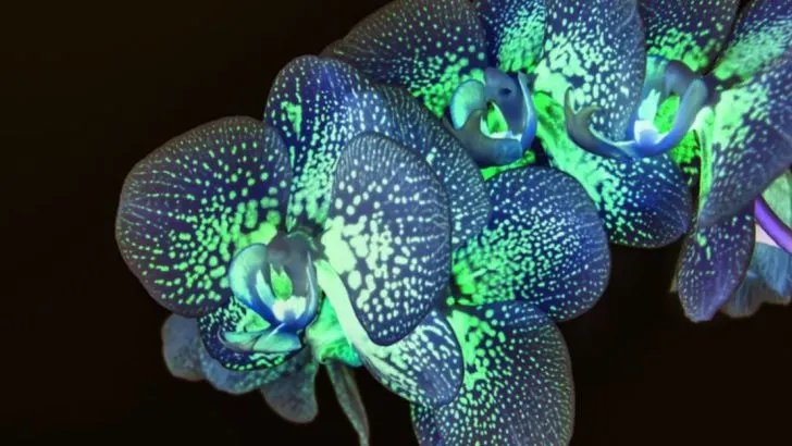 13 Weird but Fascinating Gardening Experiments You Can Try at Home