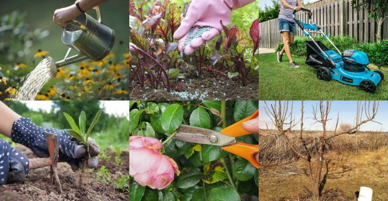 14 Popular Garden Tasks That Actually Waste Time