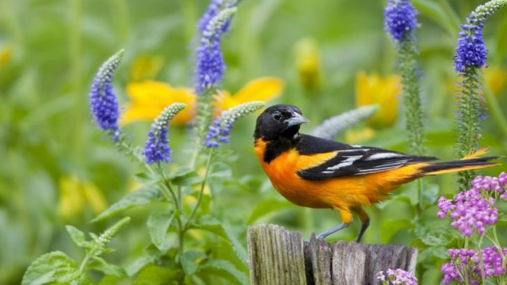 14 Subtle Ways Your Garden Shows It’s Thriving (Even When You Can’t Tell)