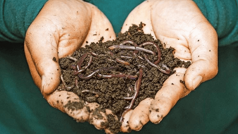 Soil Health Indicators
