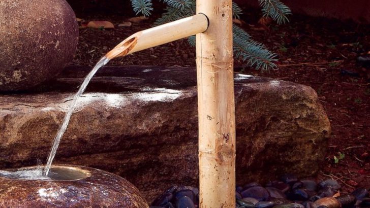 14 Backyard Water Features That Are Easier to Build Than You Think