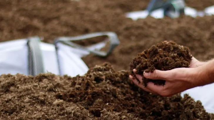 14 Can’t-Miss Garden Chores for Late Spring in Zone 6