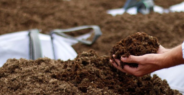 14 Can’t-Miss Garden Chores for Late Spring in Zone 6