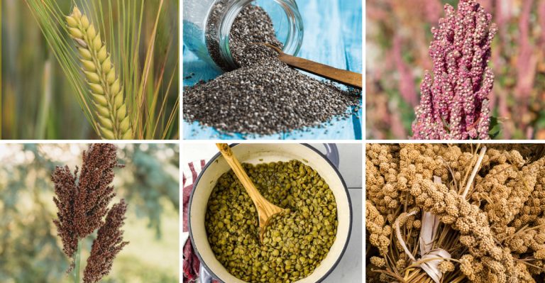 14 Crops That Were Cultivated by Ancient Civilizations—and Still Grow Well Today
