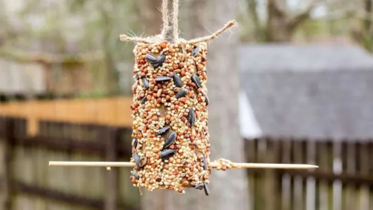 14 Fun Garden Projects to Do With Kids This Summer