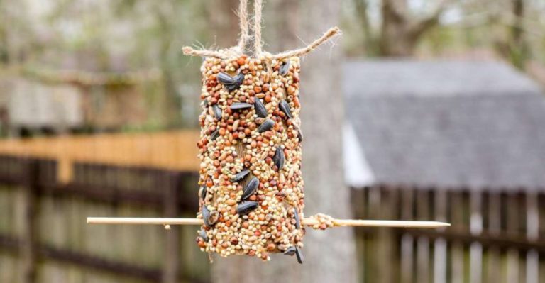 14 Fun Garden Projects to Do With Kids This Summer
