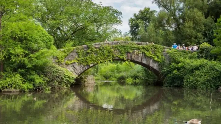 14 Garden Design Ideas Borrowed from America’s Most Famous Botanical Gardens