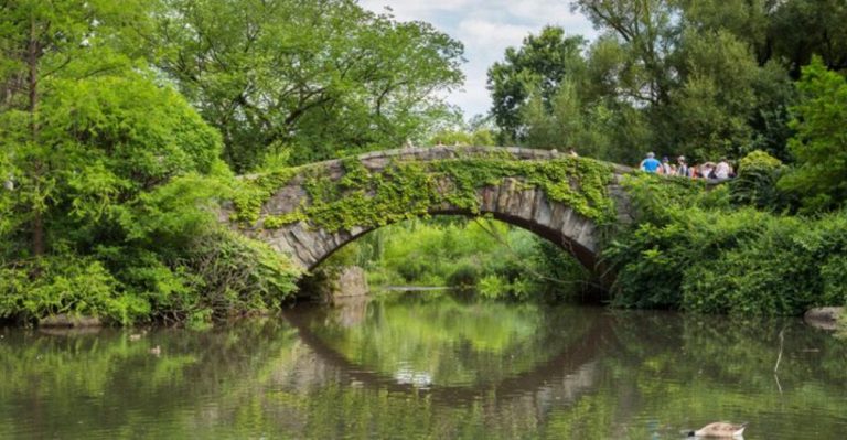 14 Garden Design Ideas Borrowed from America’s Most Famous Botanical Gardens