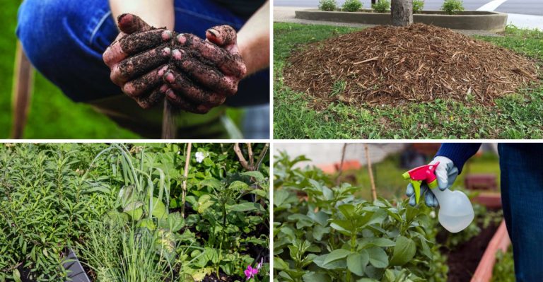 14 Gardening “Shortcuts” That Actually Make Things Harder