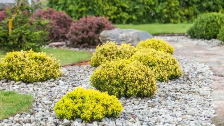14 Landscaping Trends Bringing Timeless Charm to Outdoor Living Spaces