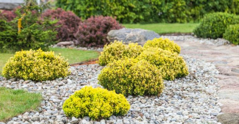 14 Landscaping Trends Bringing Timeless Charm to Outdoor Living Spaces