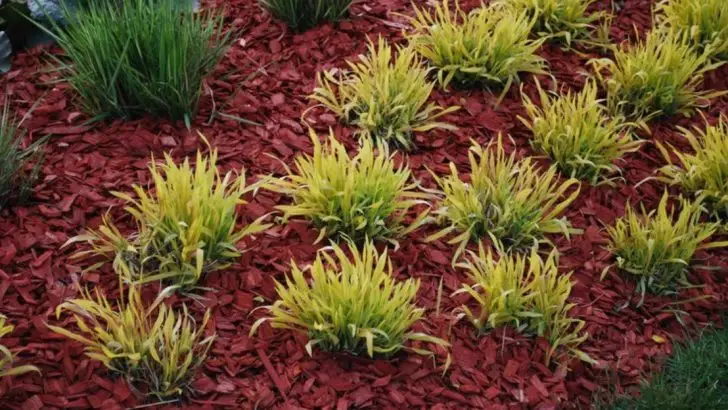 14 Ways to Create a Lush, Green Garden With Minimal Watering