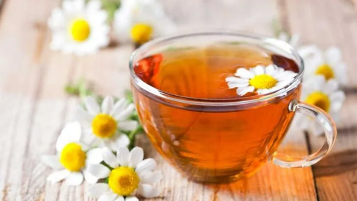 15 Plants That Calm Anxiety Better Than Meditation