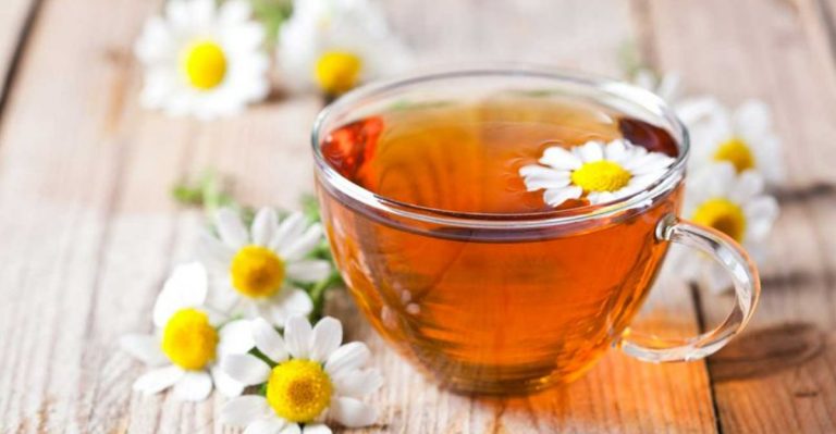 15 Plants That Calm Anxiety Better Than Meditation