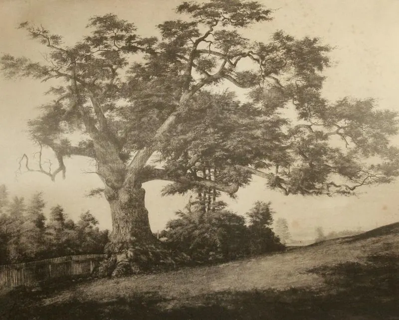 The Charter Oak