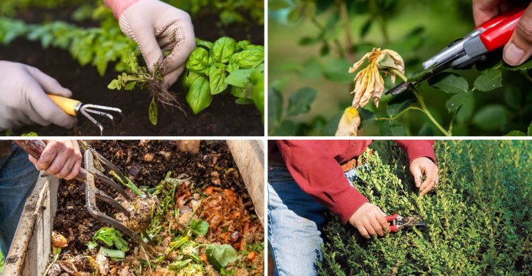 15 Boring Gardening Jobs No One Tells You About