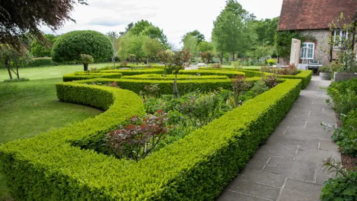 15 Classic French-Inspired Garden Features That Feel Right at Home