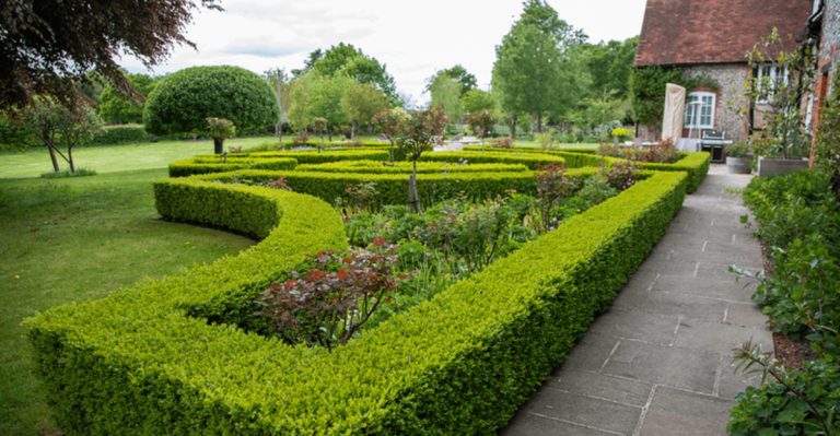 15 Classic French-Inspired Garden Features That Feel Right at Home