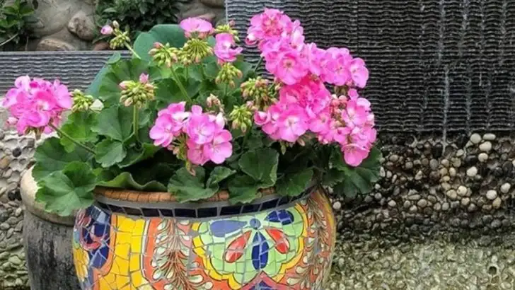 15 Easy Garden Upgrades You Can Do in a Single Afternoon