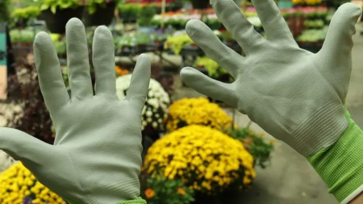 15 Gardening Tools Every Beginner Should Actually Invest In