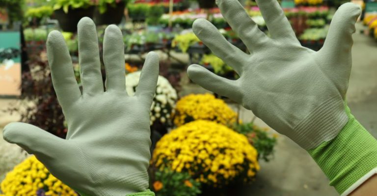 15 Gardening Tools Every Beginner Should Actually Invest In