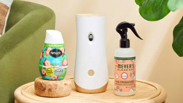 15 House Items That Secretly Harm Your Plants Without You Realizing It