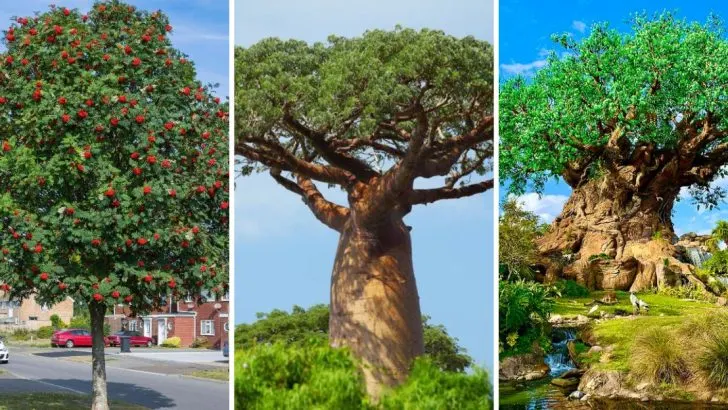 15 Legendary Trees in World Folklore You Can Grow at Home