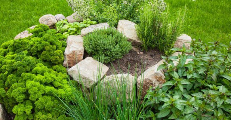 15 Unusual Garden Layouts That Actually Make Maintenance Easier