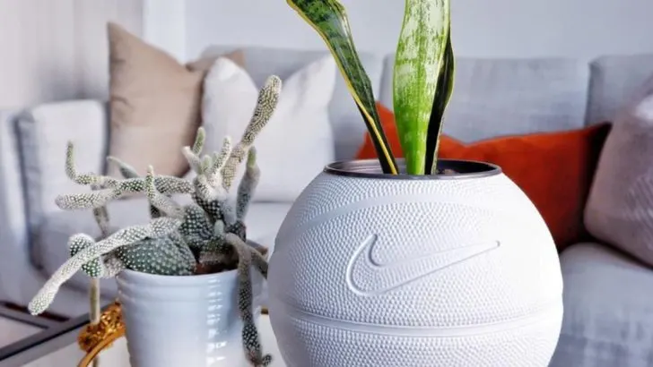 15 Ways to Repurpose Old Containers into Stylish Garden Planters