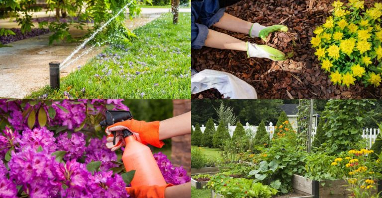 16 Landscaping Mistakes That Are Invisible in Spring But Ruin Summer Yards