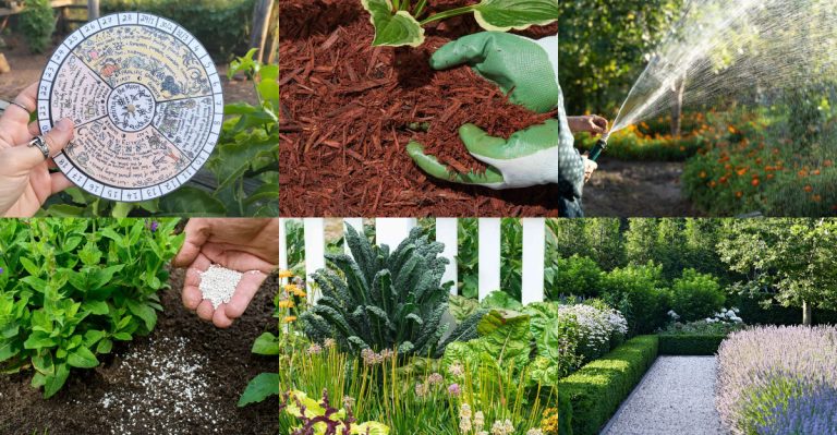 16 Spring Gardening Tips That Sound Smart But Set You Back