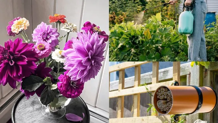 16 Things People Do to “Help” Pollinators That Backfire