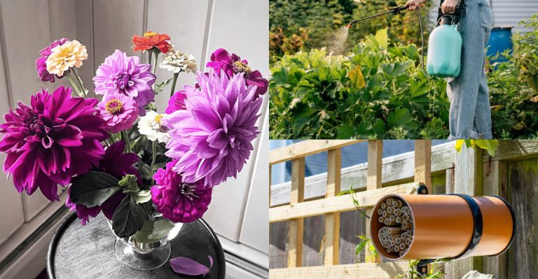 16 Things People Do to “Help” Pollinators That Backfire